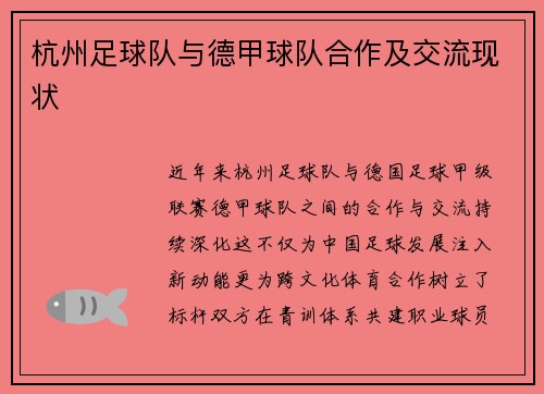 杭州足球队与德甲球队合作及交流现状